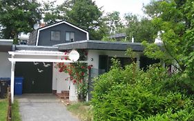 Satelsrönne 03